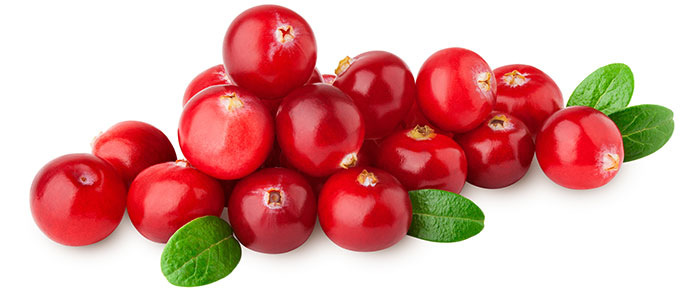 Cranberry1